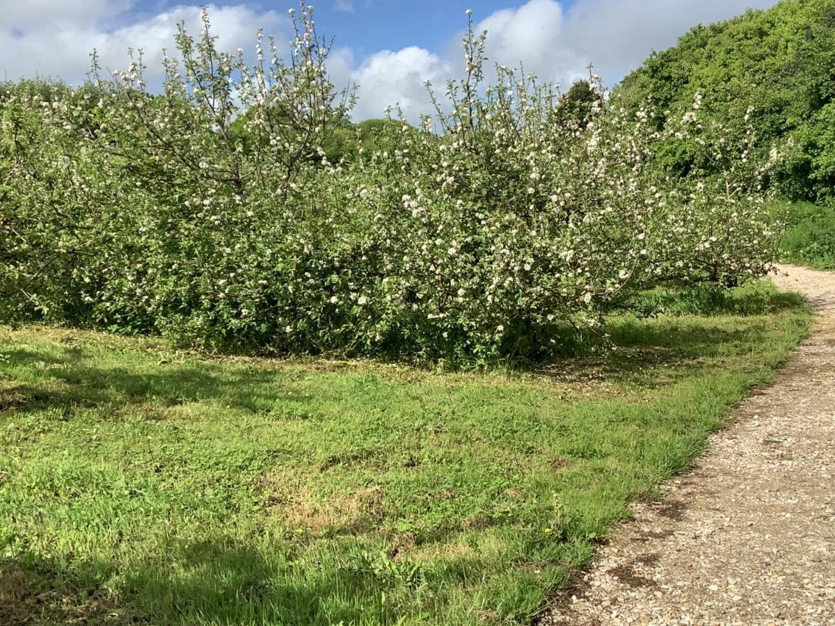 Polgoon Vineyard Annex Penzance Apartman Kültér fotó